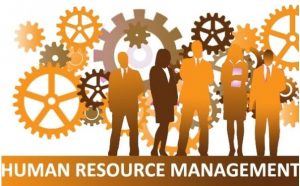 Quản lý phúc lợi nhân viên.