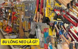 bu lông neo là gì