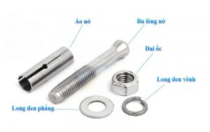 cấu tạo của tắc kê nở