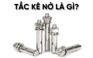 tắc kê nở là gì